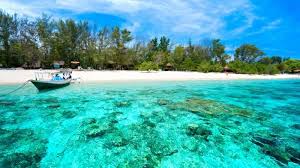 Tren Wisata Ekowisata